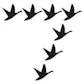 7Geese