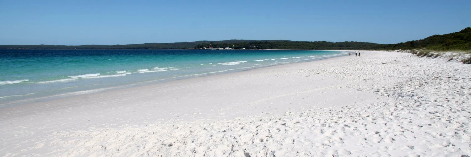 menajem benchimol cover