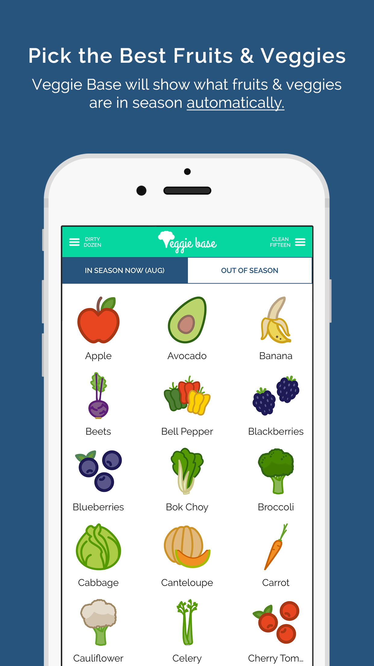 Veggie Base gallery image