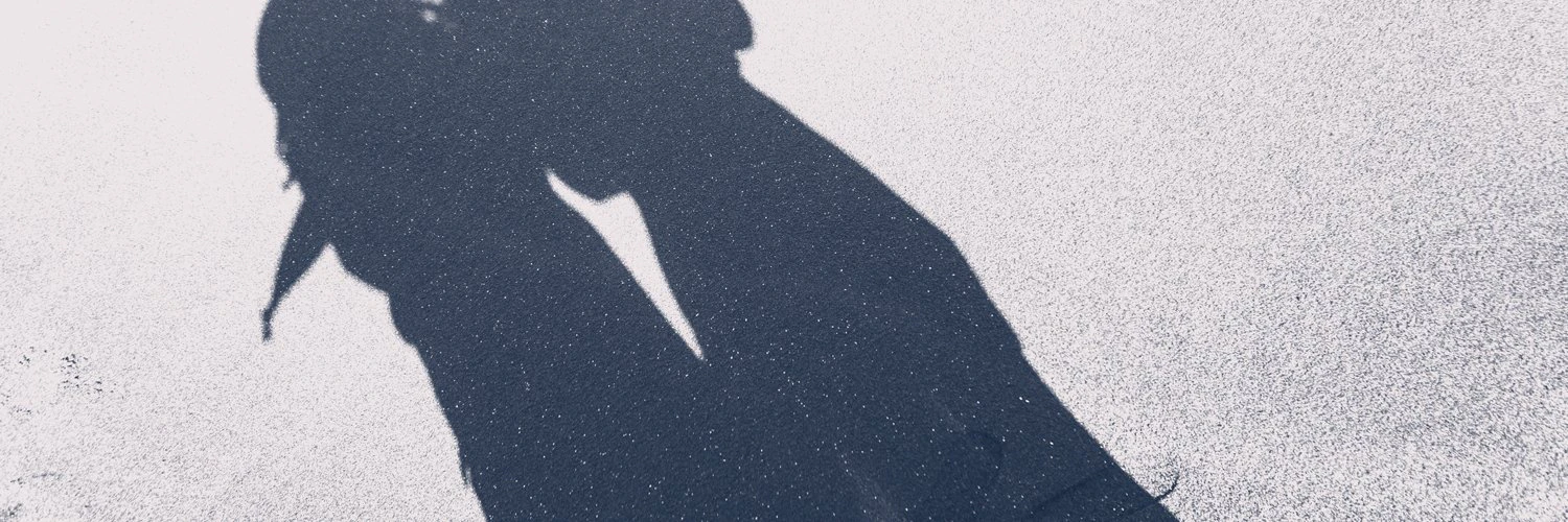 Camilo Bejarano cover