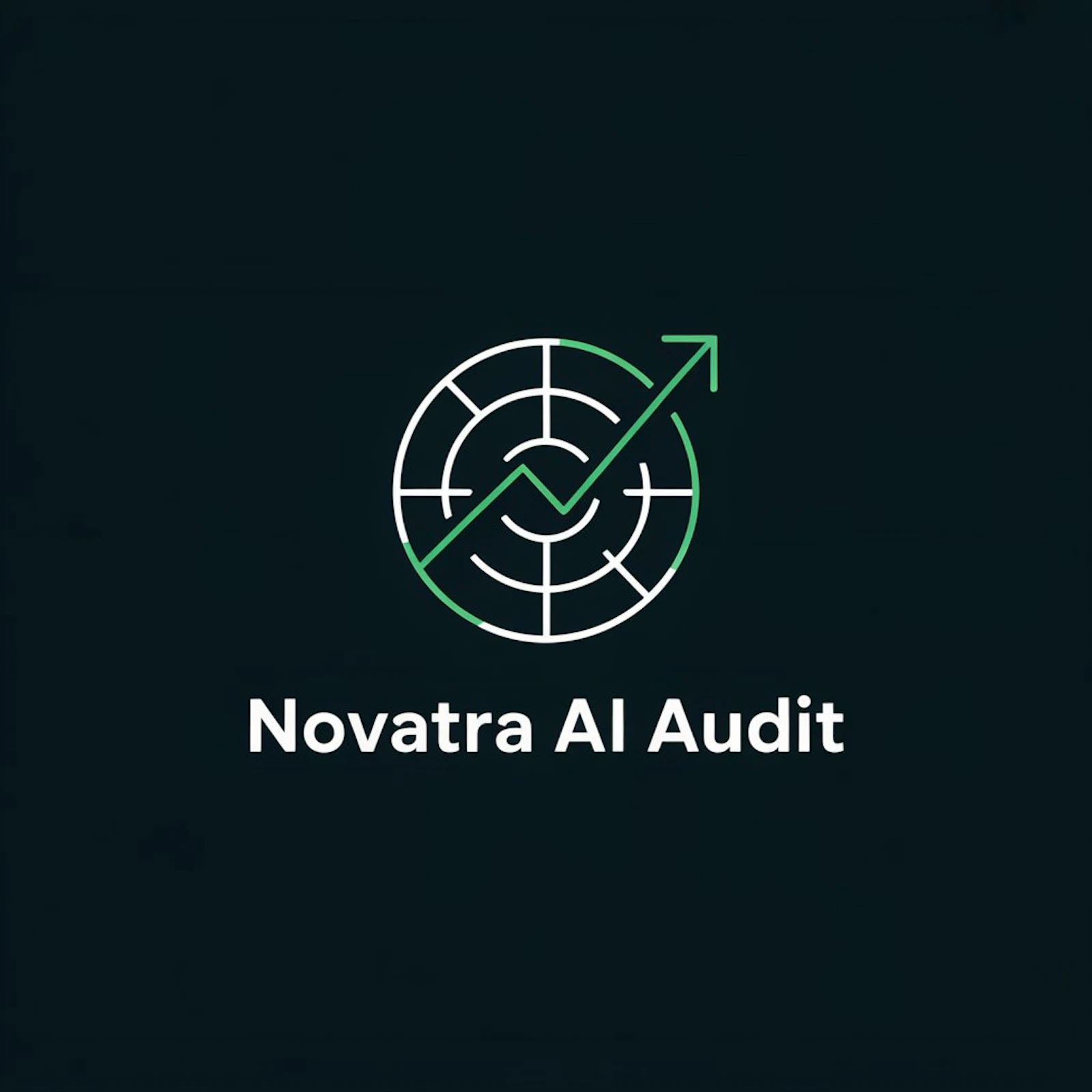Novatra AI Business Audit Tool screenshot 2