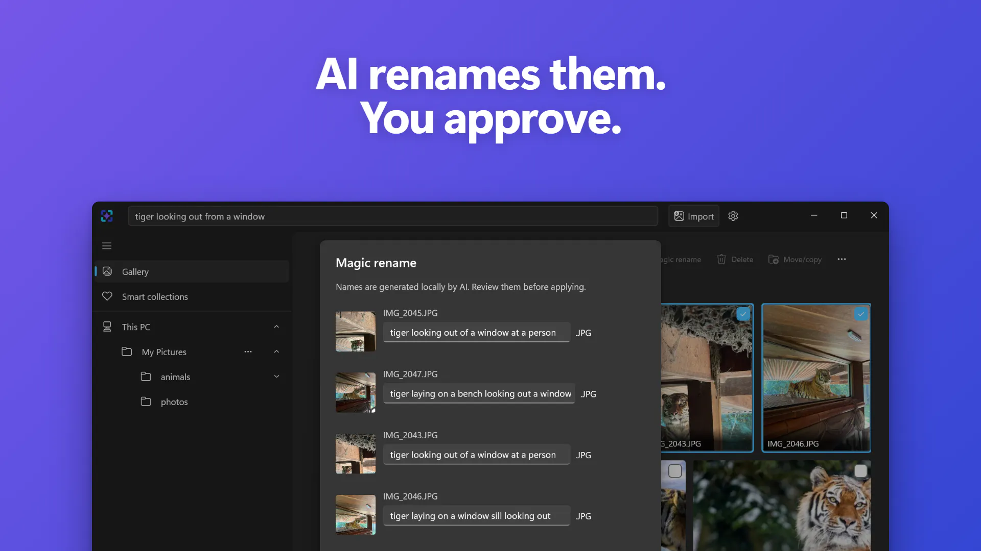 ImageSage AI photo manager gallery image