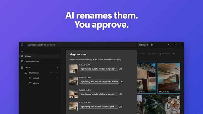 ImageSage AI photo manager screenshot 4