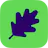 OAK