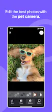 Flockr gallery image
