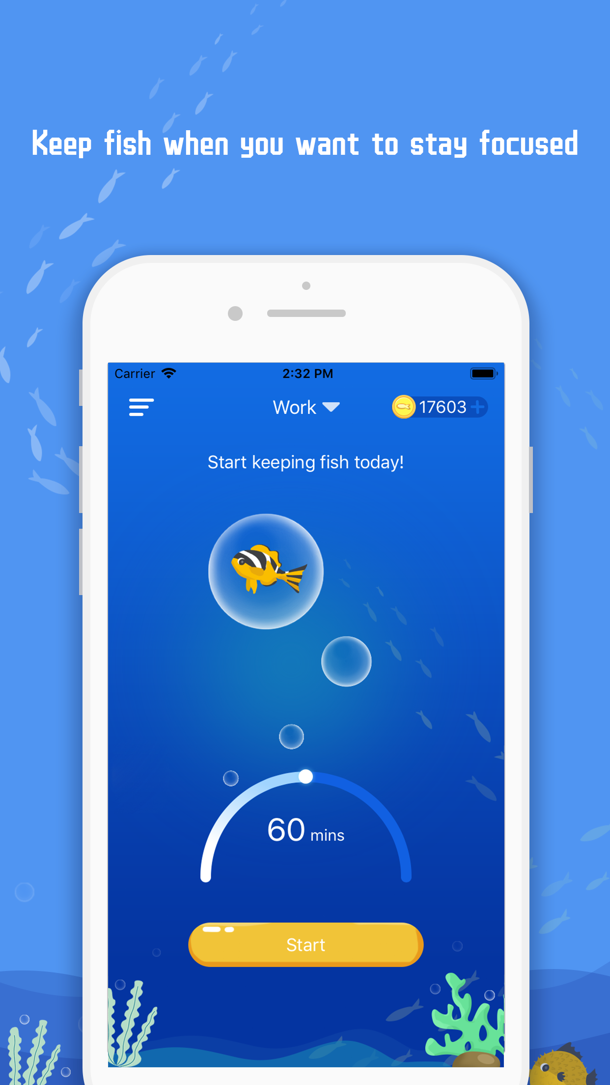 iMyFish--Focus Keeper gallery image