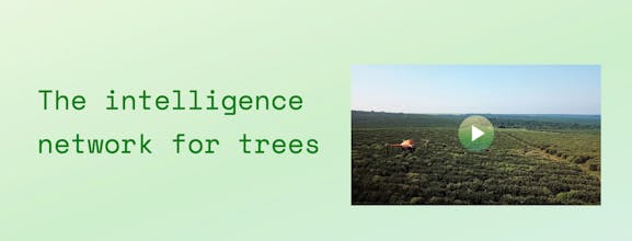 SeeTree.ai gallery image
