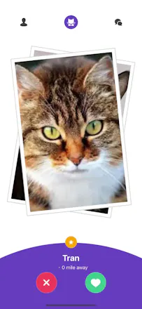 Kitty Nip - Cat Dating App for iOS gallery image