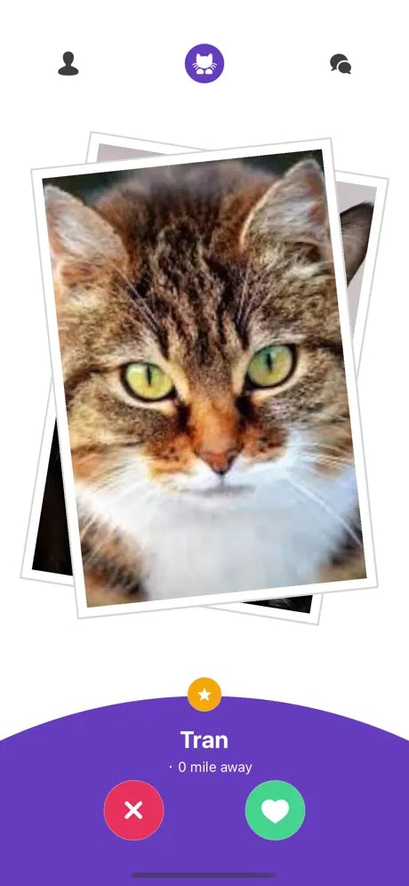 Kitty Nip - Cat Dating App for iOS media 2