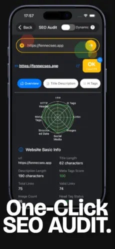 Fennec SEO Audit media 3