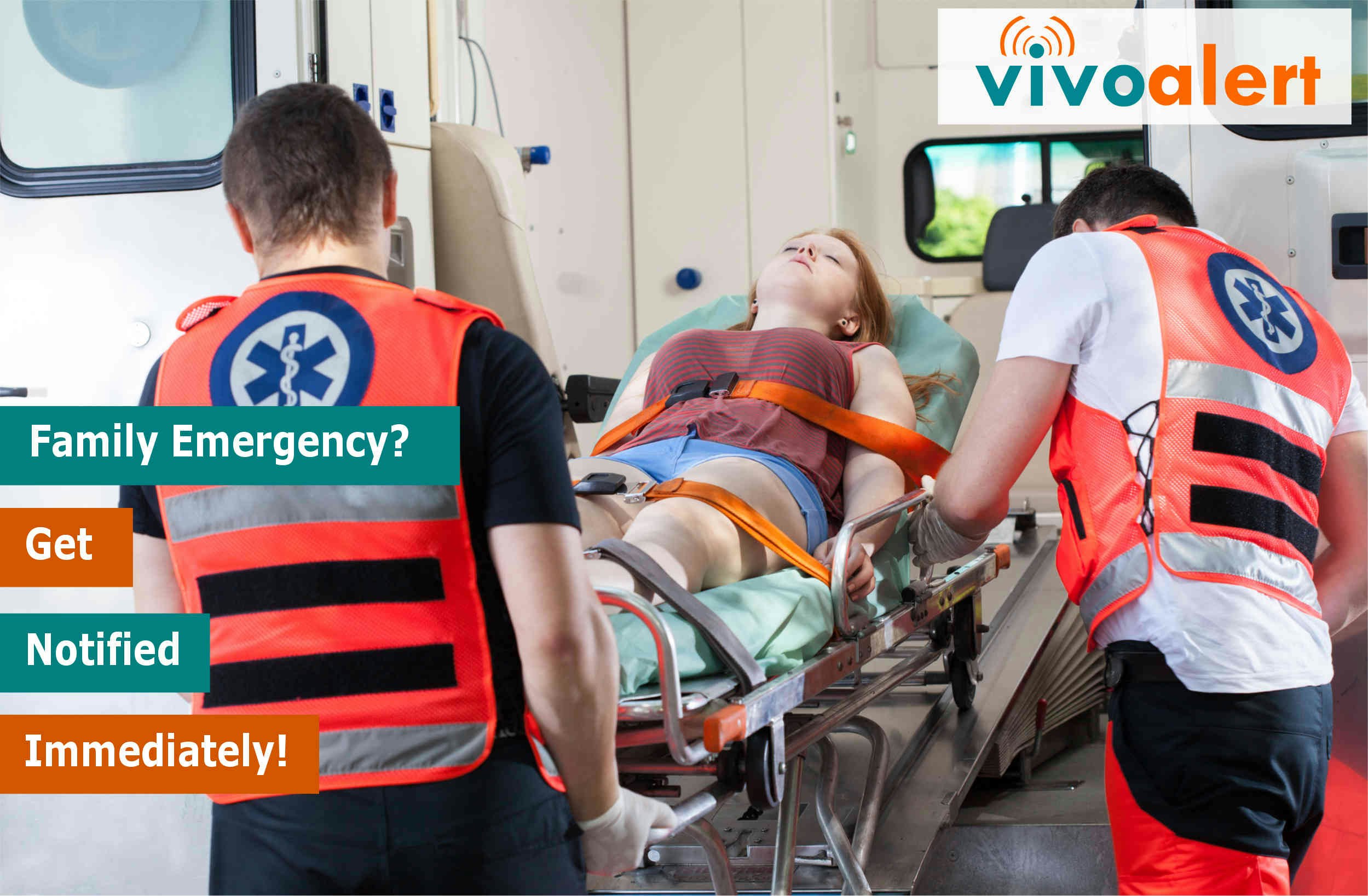 Vivo Alert gallery image