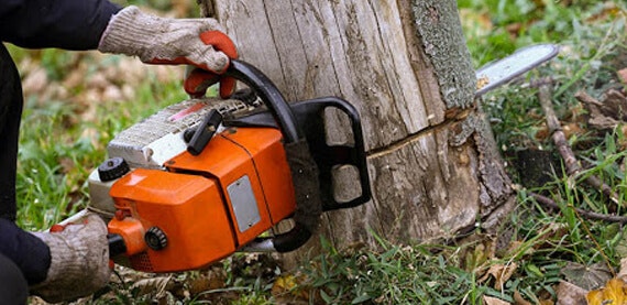 Tree Service NJ