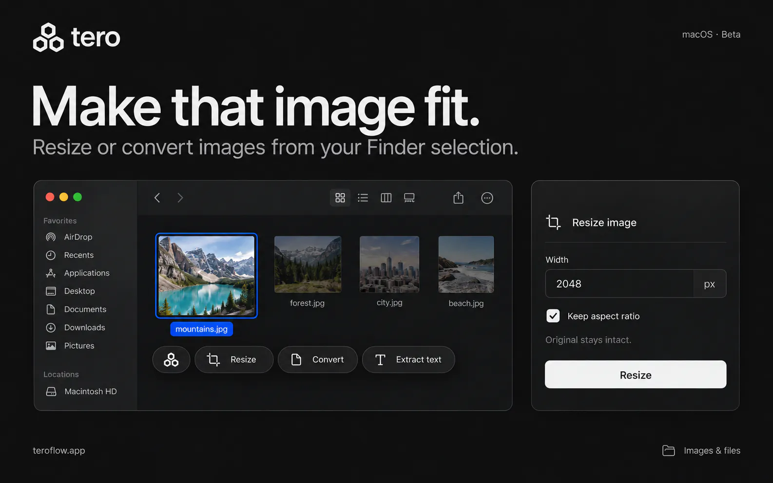 Tero gallery image