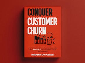 Conquer Customer Churn gallery image