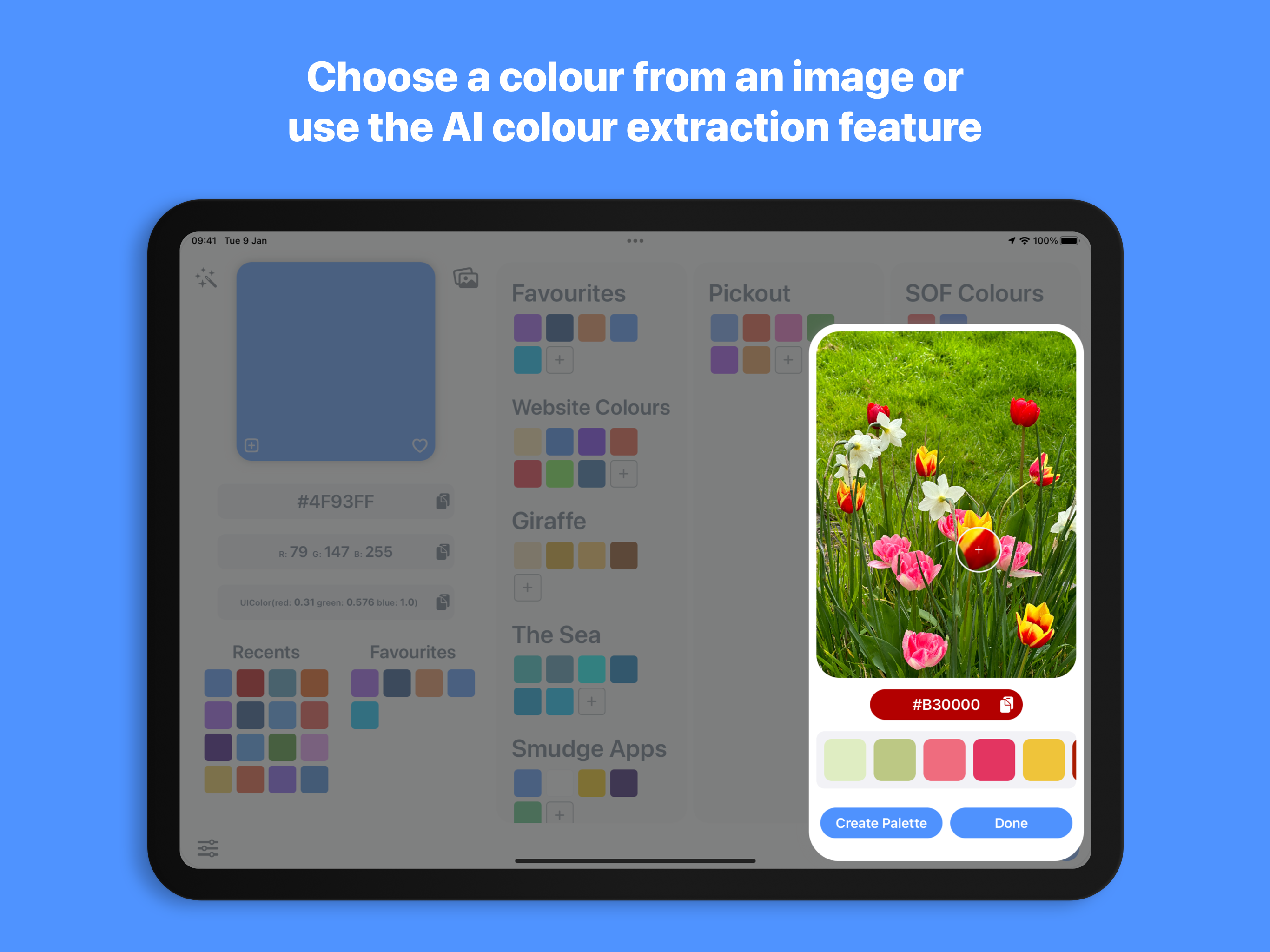 Paleta de colores del desarrollador media 6