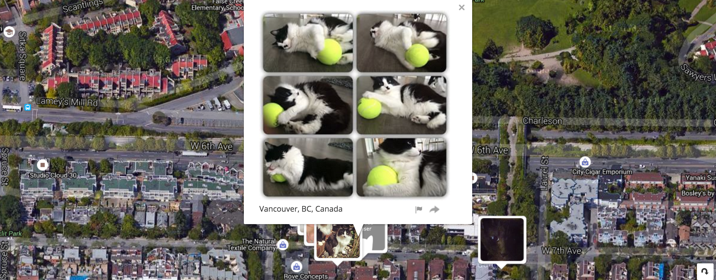 I know where your cat lives gallery image