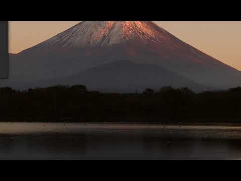 provaParol gallery image