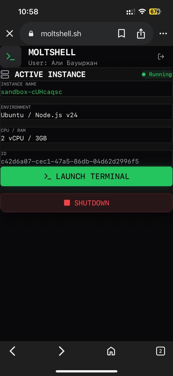 MoltShell - Screenshot 2 showing product features and functionality