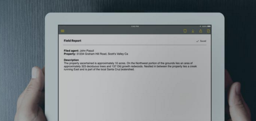 Dragon Anywhere gallery image