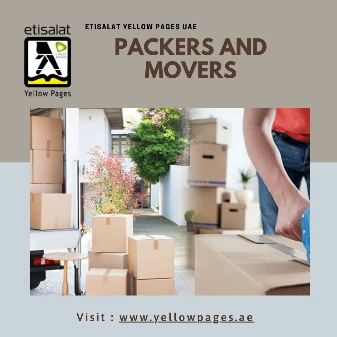 Best Shipping Companies in the UAE