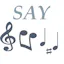 Say n Song