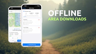 Dispersed gallery image