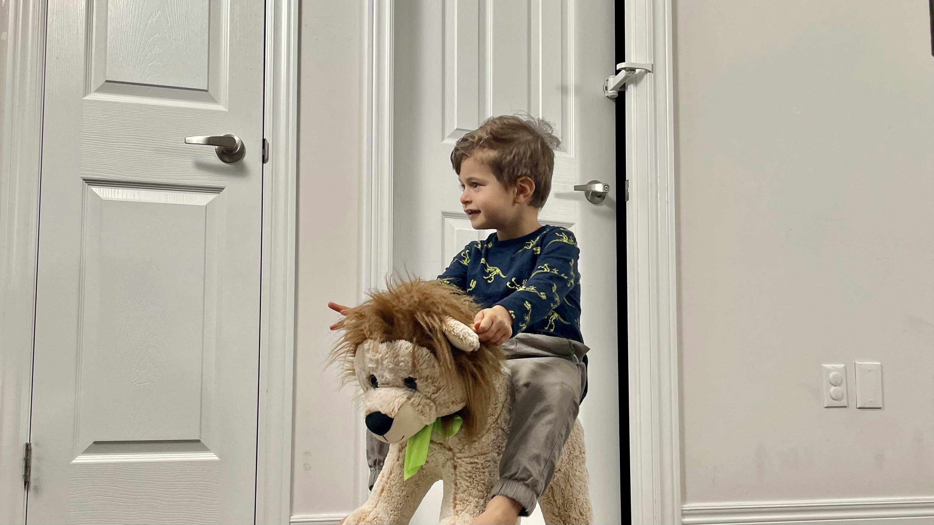 DOORWING Door Lock and Finger Guard gallery image