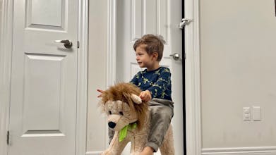 DOORWING Door Lock and Finger Guard gallery image