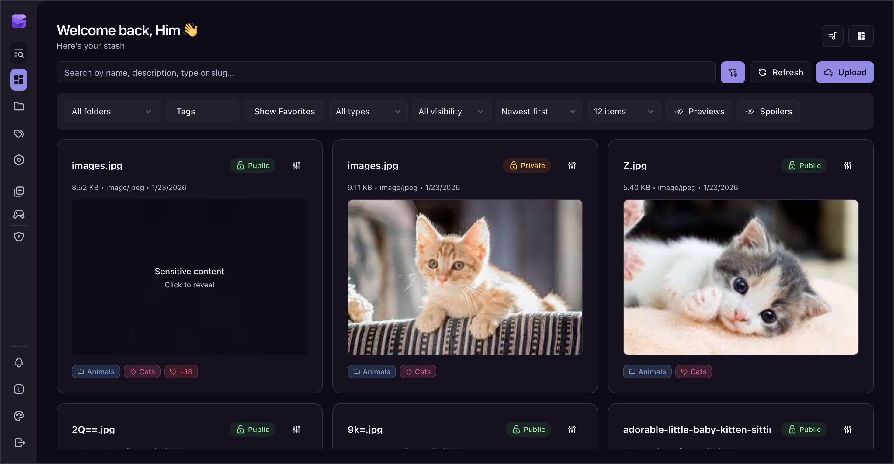 Swush - Main product screenshot demonstrating key features and user interface