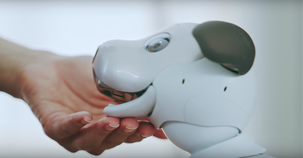 New Sony aibo