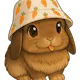 Copi