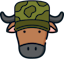 TestoBuffalo