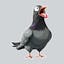 Pigeons Stickers