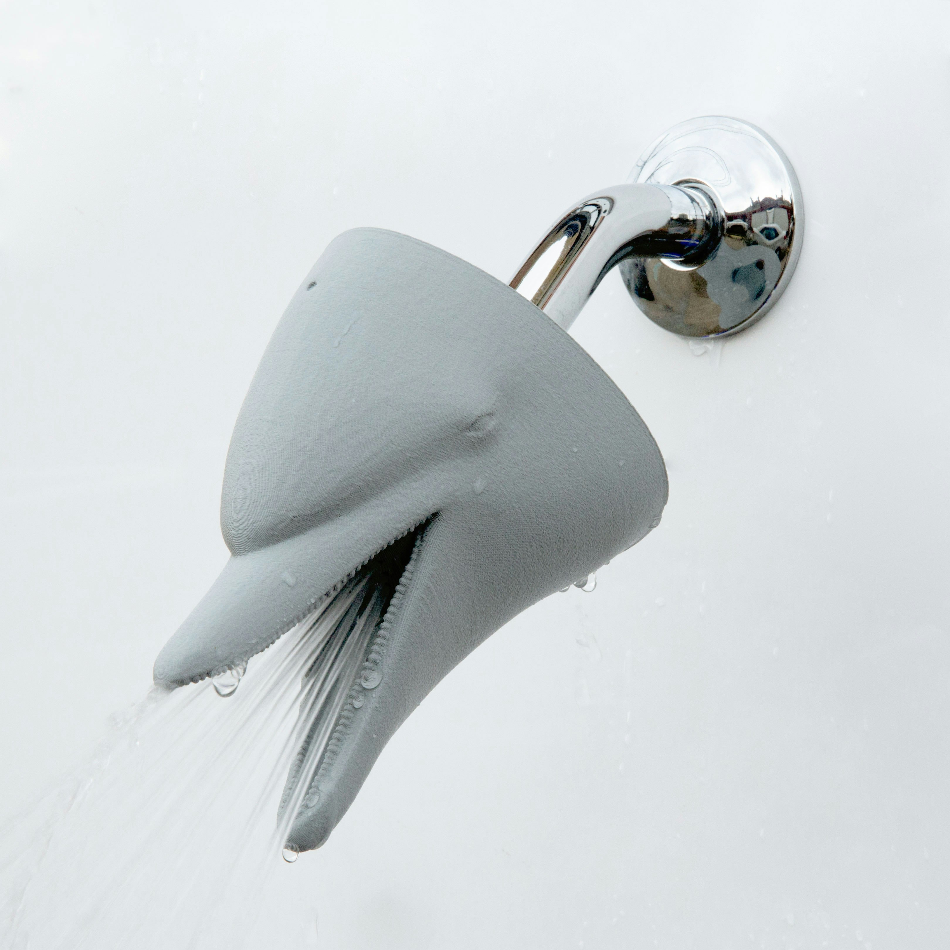 Zooheads gallery image