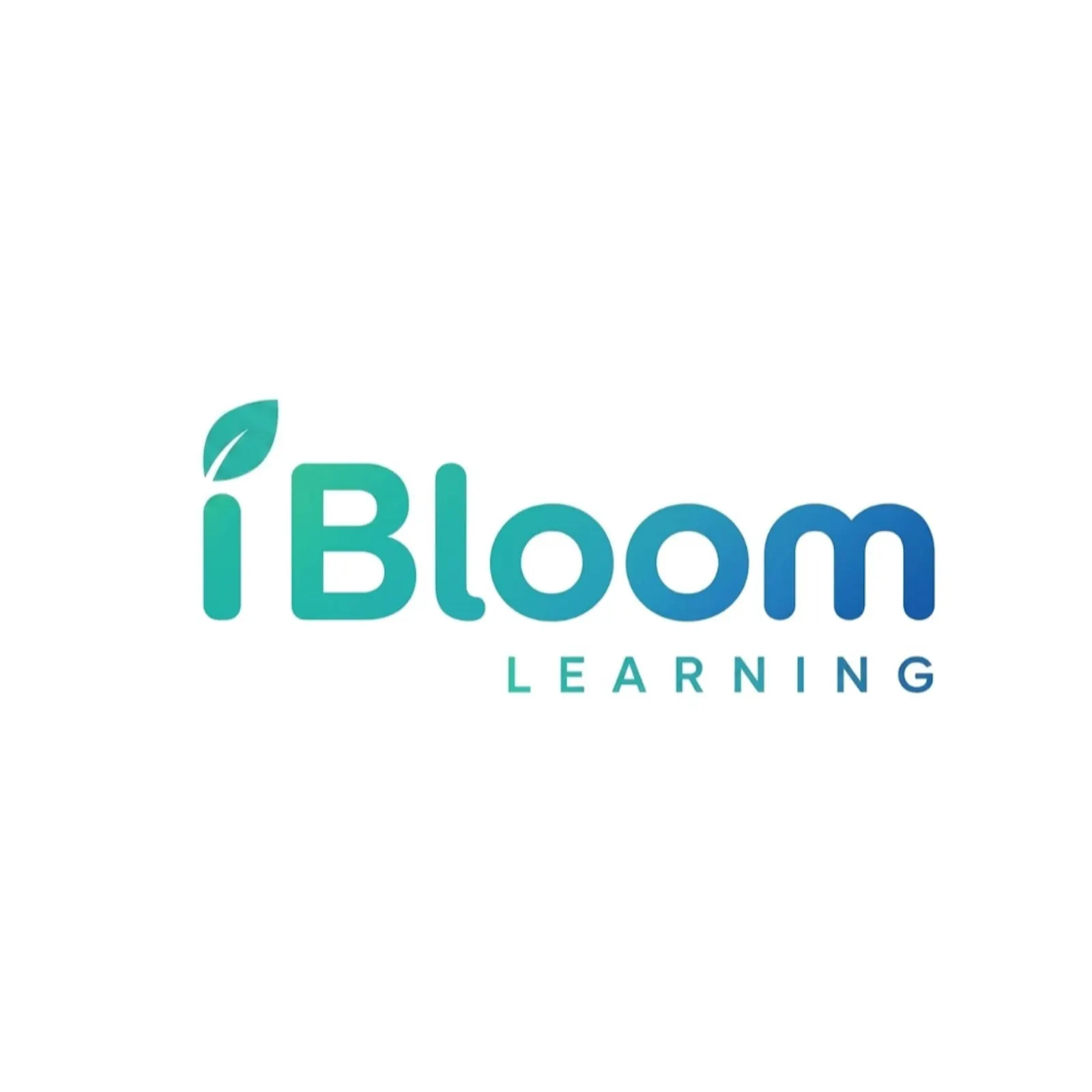 iBloom Interactive Worksheet Generator screenshot 2