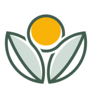 hurryncash.com - Product Hunt launch logo and brand identity