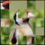 Endless Bird Jigsaw Puzzle