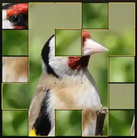 Endless Bird Jigsaw Puzzle