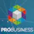 ProBusiness