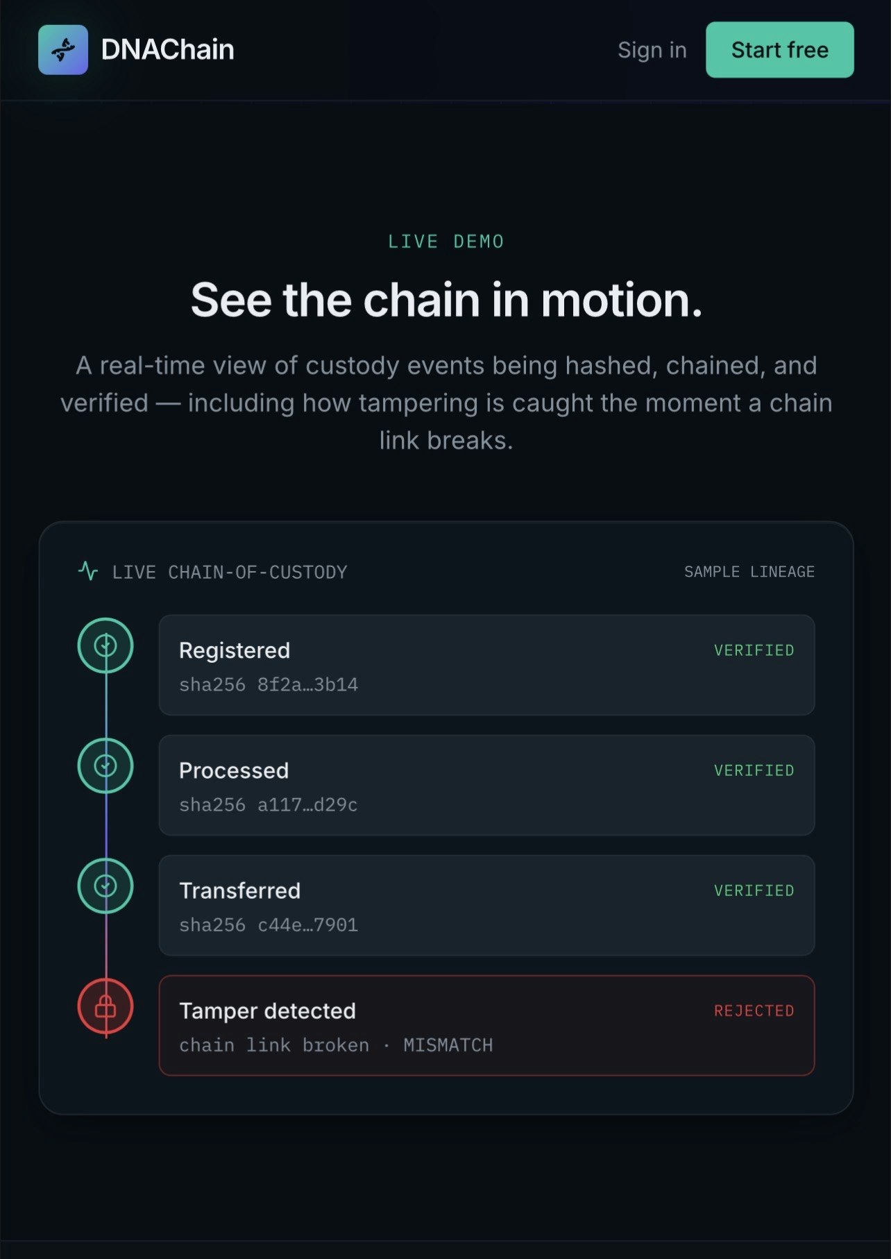 DNAChain gallery image