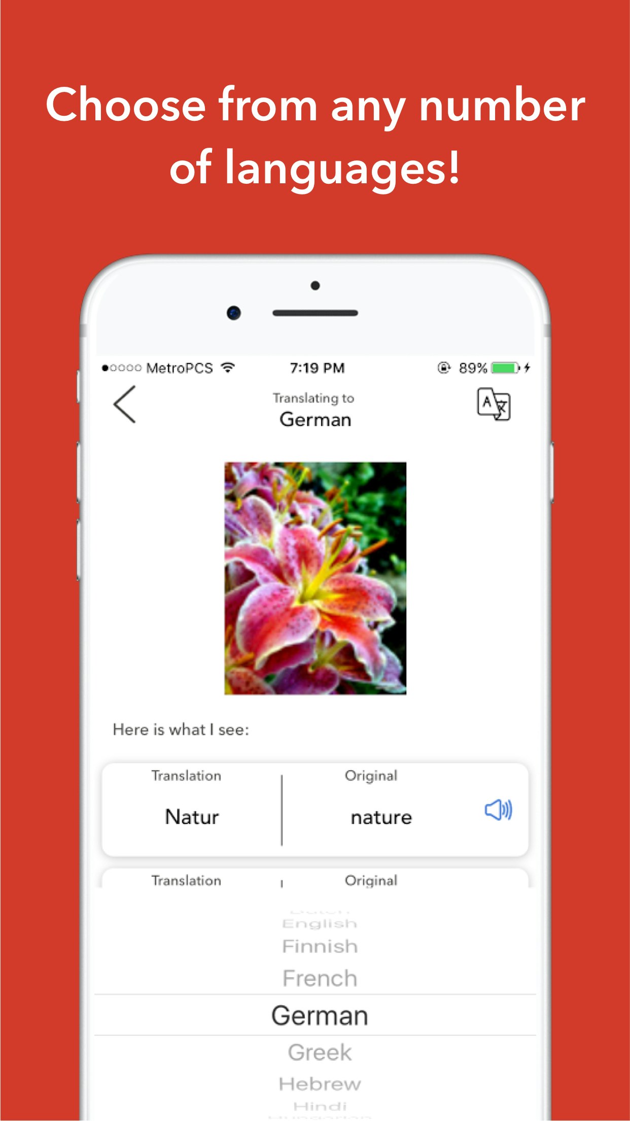 iLingual gallery image