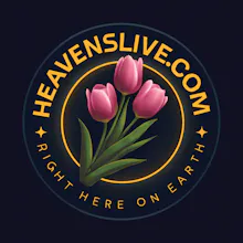 HeavensLive — Divine Commerce gallery image