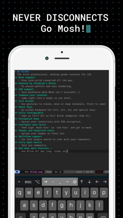 Blink Shell gallery image