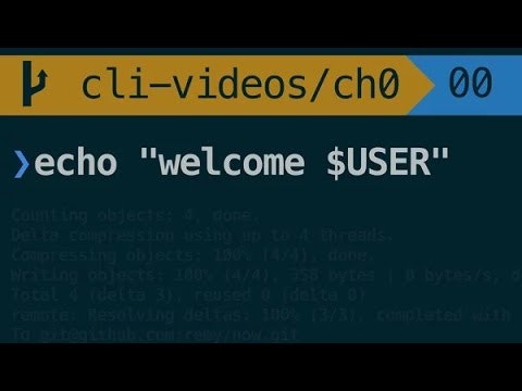 terminal.training gallery image