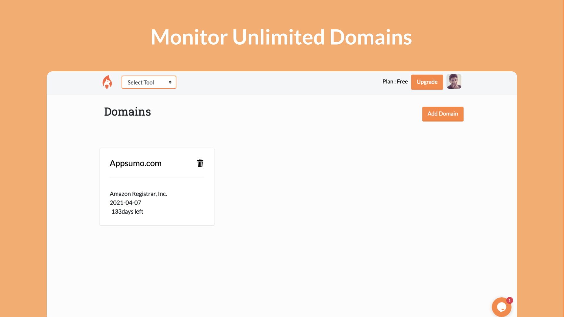 SerpSquirrel gallery image