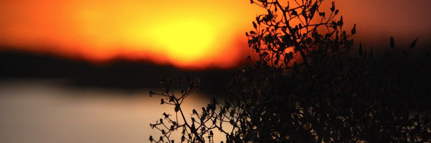 Austin Sandmeyer cover