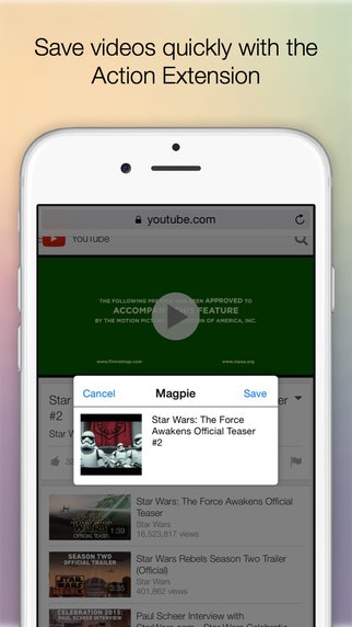 Magpie gallery image