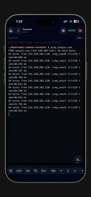Remote Terminal screenshot