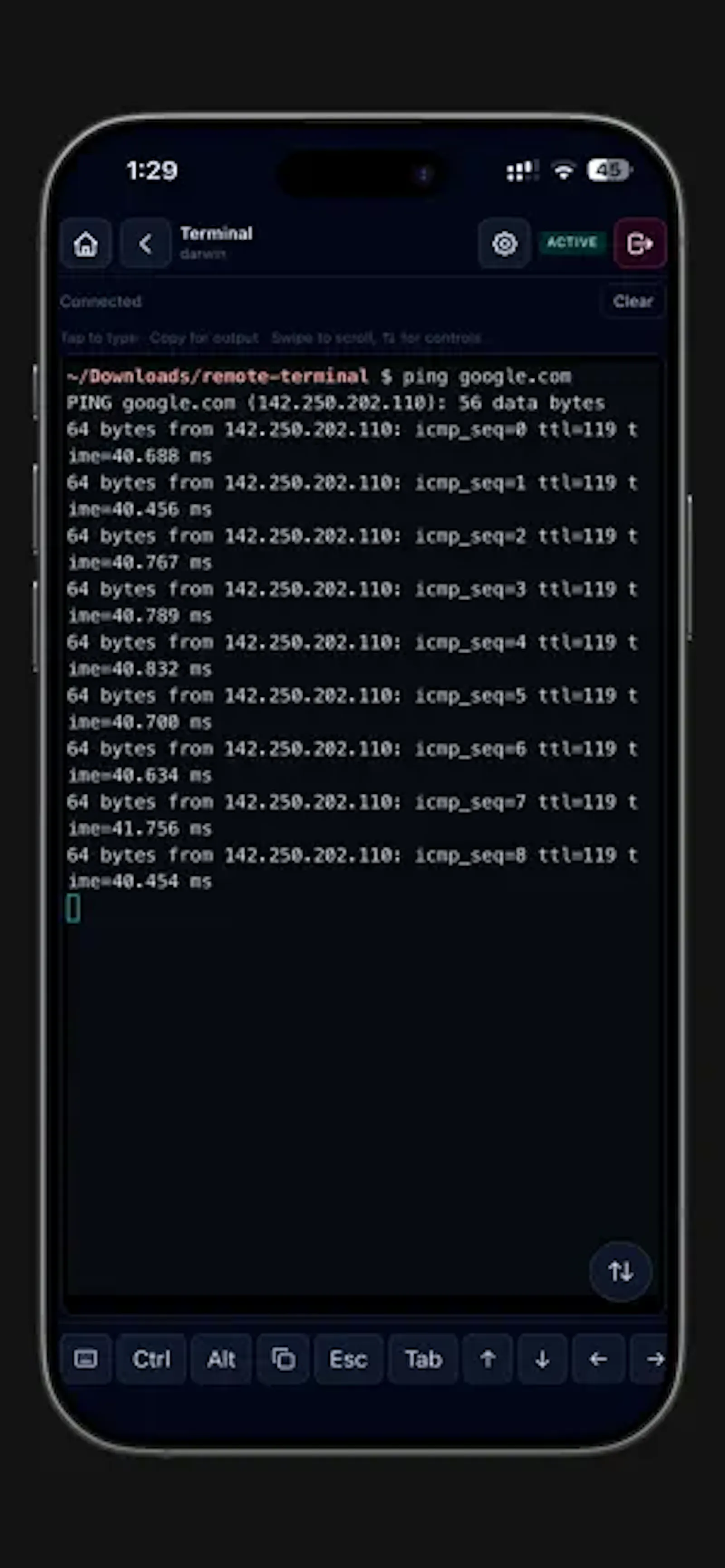 Remote Terminal screenshot 6