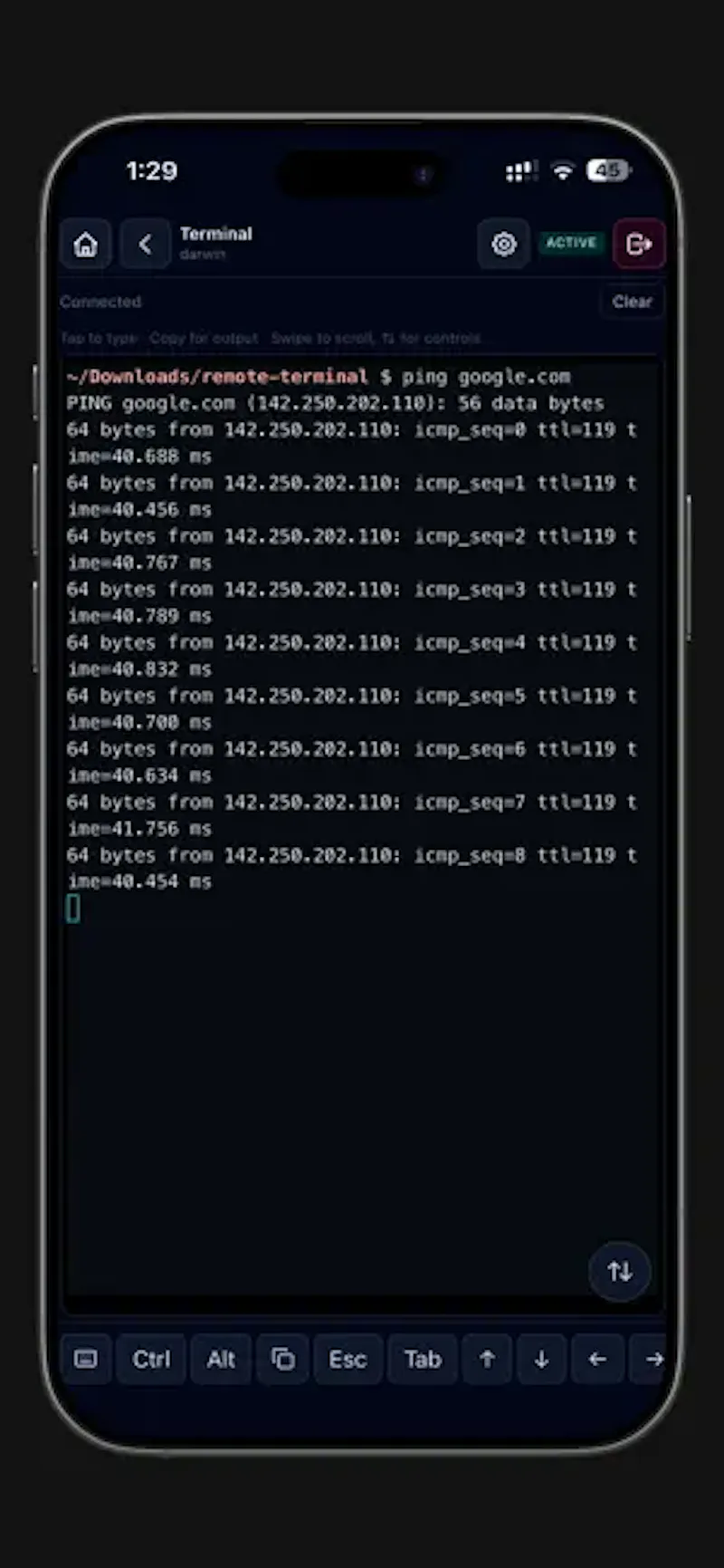 Remote Terminal screenshot 6